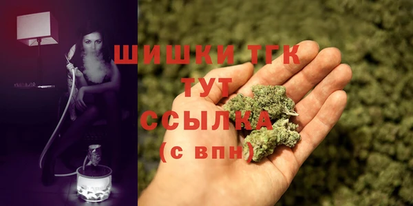 прущие грибы Алзамай