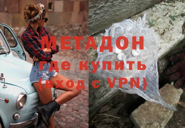прущие грибы Алзамай