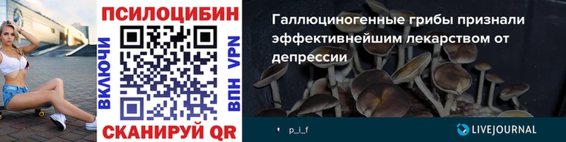 Псилоцибиновые грибы Magic Shrooms  хочу наркоту  Кропоткин 